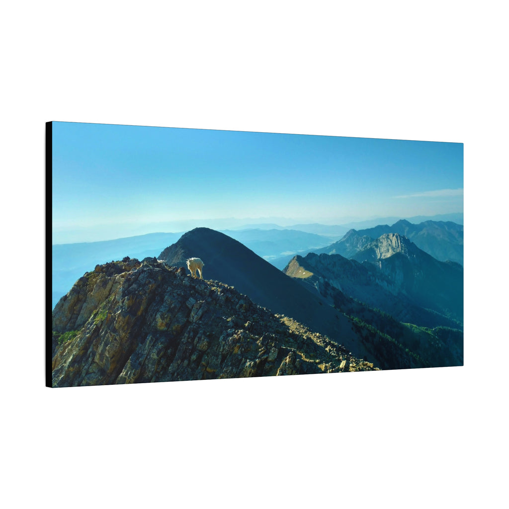 Mountain Goat Peak