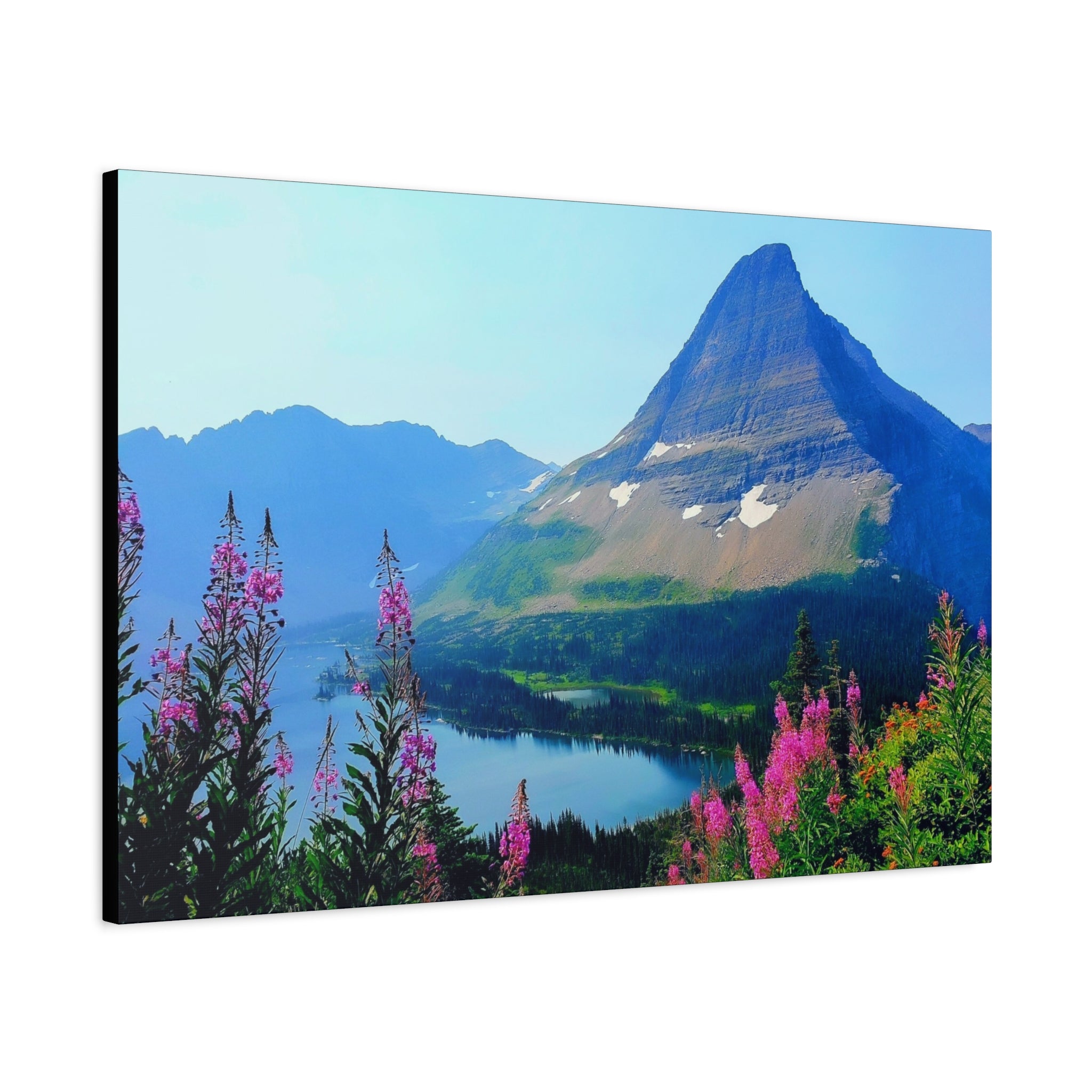 Mountain Wildflowers