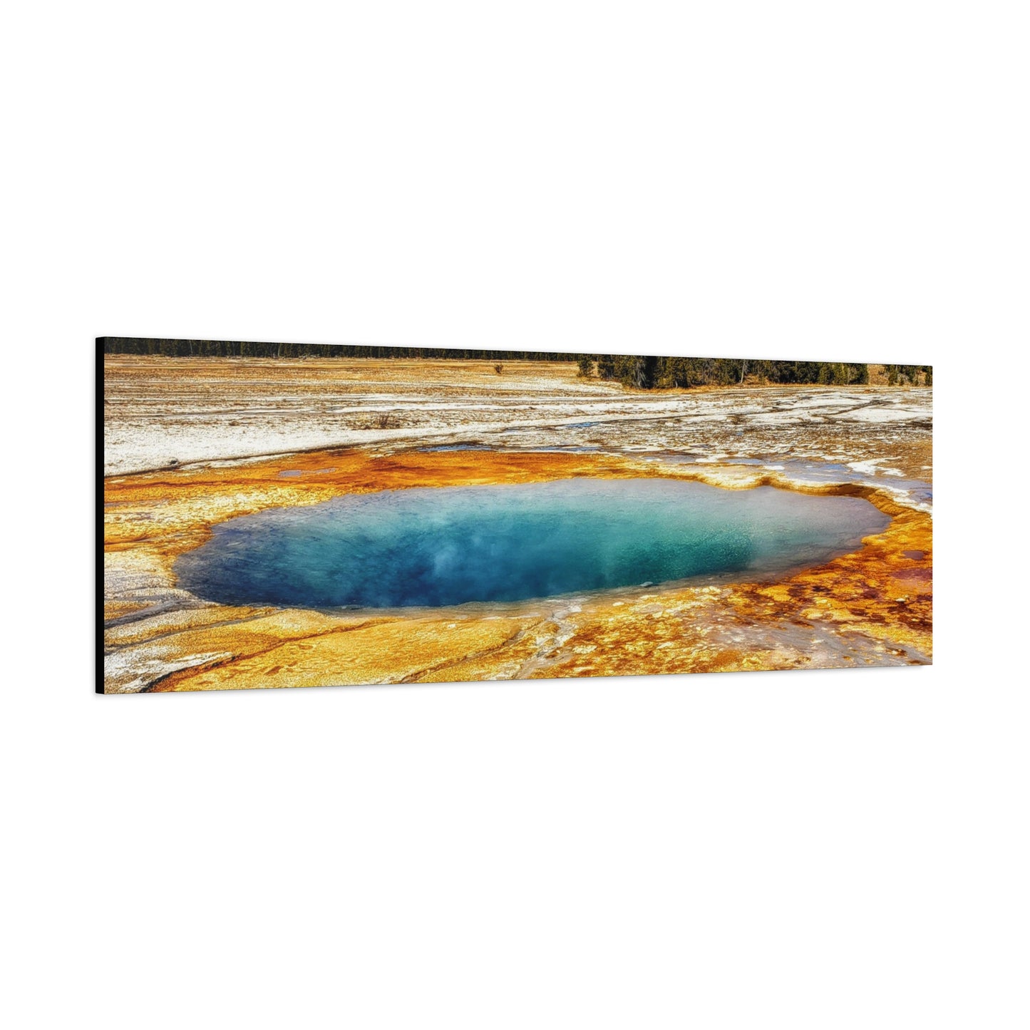 Yellowstone Landscape Canvas Print