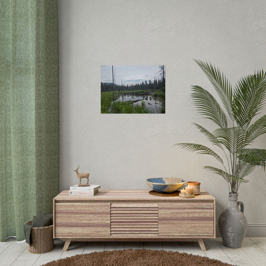 Nature-Inspired Rolled Posters for Home Decor, Perfect for Gifts, Outdoor Enthusiast Art