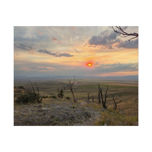Sunset over a landscape with bare trees and a cloudy sky.