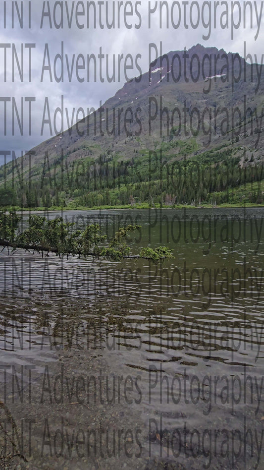 Lake with a sideways tree and a mountain in the background